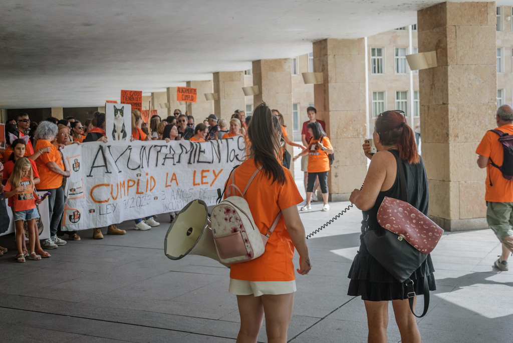 Manifestación en Logroño por la gestión ética de las colonias felinas